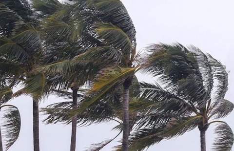 El Gobierno de Canarias declara alertas por viento y fenómenos costeros