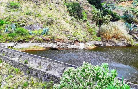 El PP de La Gomera valora positivamente el acuerdo para mejorar el cultivo de platanera con riego de alta eficiencia en Hermigua