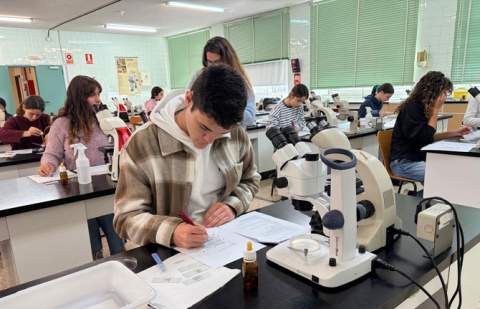 Educación refuerza el apoyo a las fases autonómicas de las olimpiadas de conocimiento