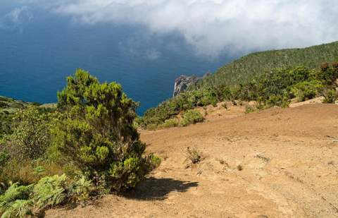 Vallehermoso acoge la travesía senderista Caminando Canarias