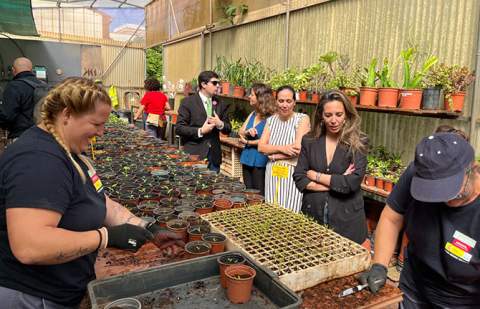 El SCE impulsa un estudio del impacto de la economía social en el desarrollo local de los ayuntamientos