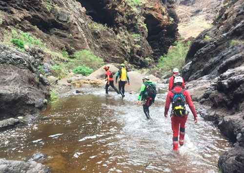 Masca Dos Anos Sin Ti Gomeraverde Prensa La Gomera