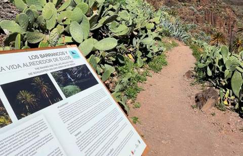 El Cabildo culmina los trabajos de conservación del sendero El Guro - Salto del Agua en Valle Gran Rey