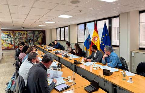 Canarias y el Estado acuerdan reuniones técnicas mensuales para agilizar la financiación de la gratuidad del transporte en 2025 y 2026