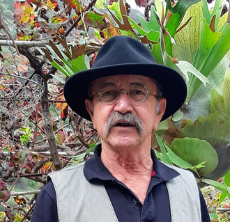 DEP. Don Francisco Almenara Mesa