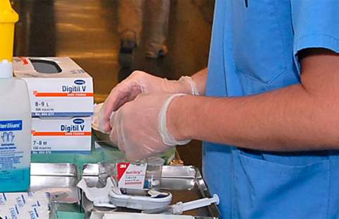 Los mayores ingresados en residencias, víctimas de la falta de enfermeras en España