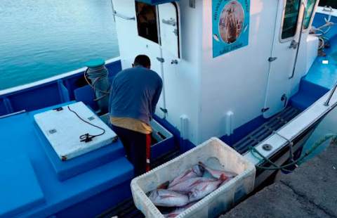 Los pescadores barajan amarrar sus barcos por falta de rentabilidad si no baja el gasóleo