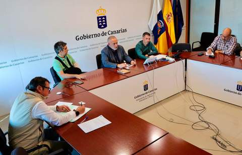 El Gobierno canario organiza una sesión informativa sobre para las ventajas del seguro del aguacate