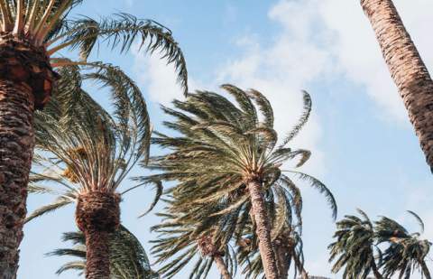 Declarada la alerta por vientos y fuerte oleaje en Canarias