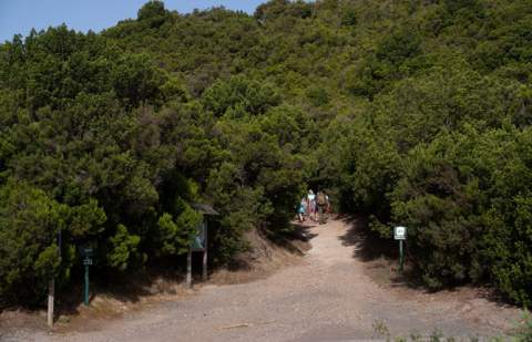 El Cabildo apertura la red de senderos y GuaguaGomera reactiva la ruta de Valle Gran Rey con el aeropuerto