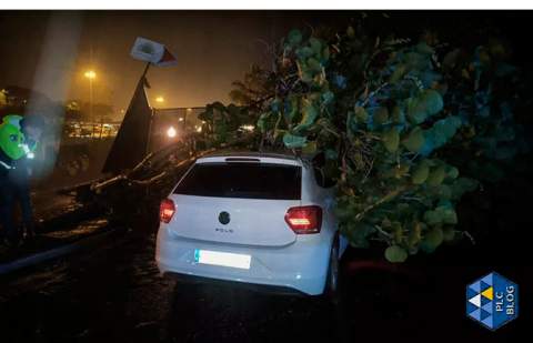 Tenerife registra 200 incidencias por Therese y rachas de 200km/h en el Teide