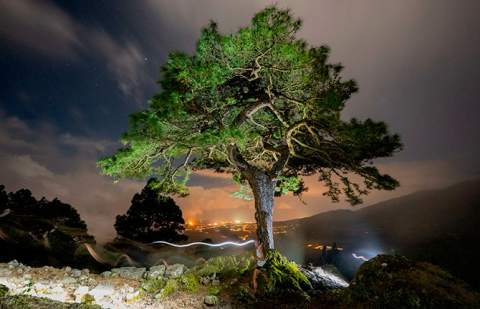 Mario Olmedo y Azara García alcanzan las estrellas en Reventón El Paso
