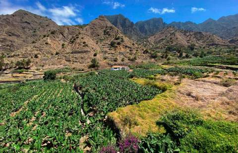 El Ayuntamiento de Hermigua destina 60.000 euros a la Comunidad de  Regantes para apoyar al sector agrícola