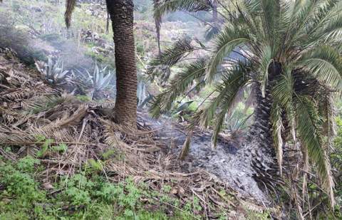 Extinguen un conato de incendio en La Gomera durante la borrasca Therese
