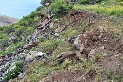 Foto: GomeraVerde.es