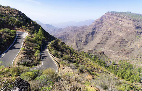 PACMA presenta alegaciones al Anteproyecto de Ley de Biodiversidad de Canarias