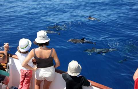 La Gomera cierra una temporada de invierno histórica con más gasto turístico y el 95% de ocupación