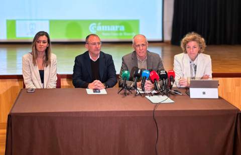 La economía de La Palma crece en 2025, pero entra en una fase de moderación y prudencia