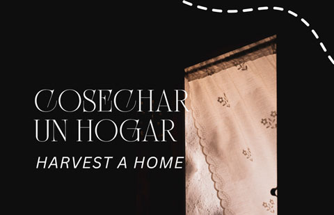 “Cosechar el hogar”: una exposición colectiva que explora nuevas formas de habitar desde lo íntimo y lo compartido