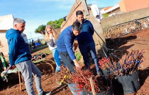 El Gobierno de Canarias inicia ensayos con patrones de vid resistentes a la filoxera