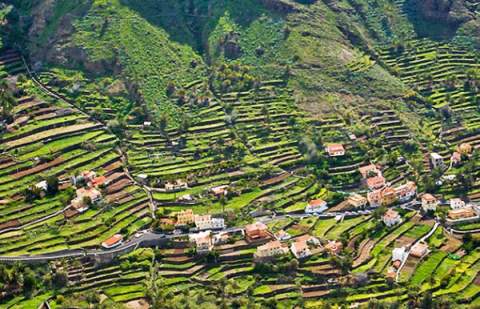 Valle Gran Rey organiza un paseo guiado por La Calera para acercar la historia y la cultura del municipio a residentes y visitantes
