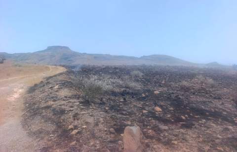 Extinguido un conato de incendio en Vallehermoso (La Gomera) que afectó a 9.500 m2