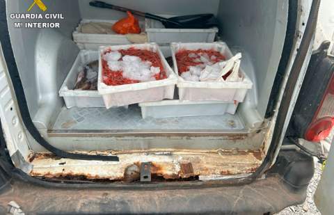 La Guardia Civil interviene en La Gomera más de 28 kg de pescado y marisco transportados en un vehículo de forma irregular