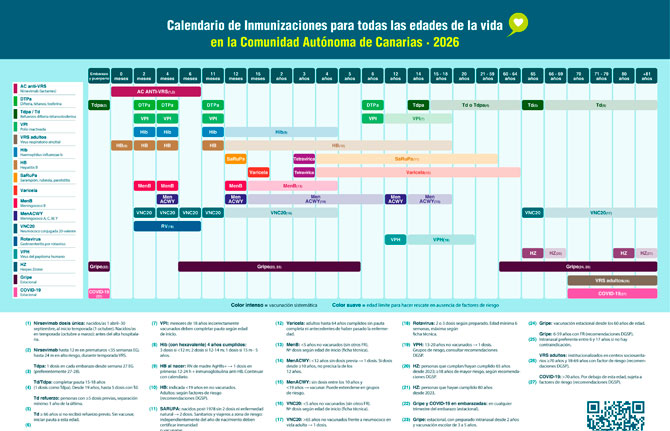 Canary Islands Updates Vaccination Calendar to Include RSV and Expanded Protections - News Directory 3