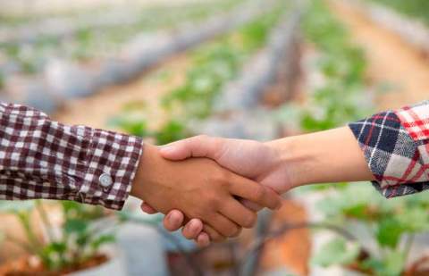 El Gobierno de Canarias respalda con 350.000€ la labor de 14 asociaciones profesionales agrarias