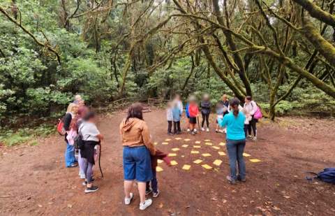 Cabildo y Fundación Acuorum invitan a descubrir la laurisilva con la actividad ‘El Tesoro del Garajonay’