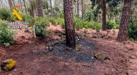 La Guardia Civil detiene al presunto autor de un conato de incendio en Tenerife