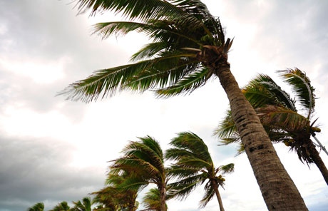 Alerta por viento en La Gomera y prealerta en el resto de Canarias