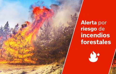 Alerta por riesgos de incendios forestales en islas occidentales y en Gran Canaria
