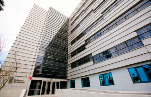 El SCS publica nombramientos para siete especialidades de médicos y facultativos