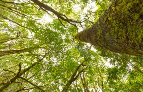 Anaga Biofest completa en La Gomera su primer ciclo de hermanamientos con las siete Reservas de la Biosfera de Canarias
