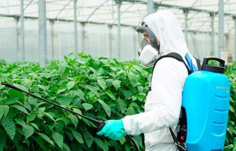 El Cabildo de La Gomera oferta nuevos cursos de manipulador de productos fitosanitarios de nivel básico