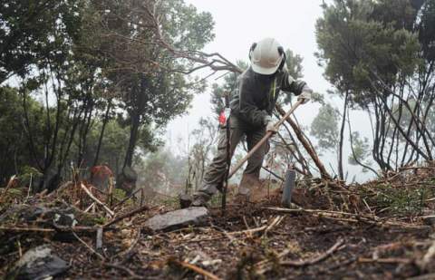 La actividad de Gesplan genera un impacto de 241 millones de euros en la sociedad canaria