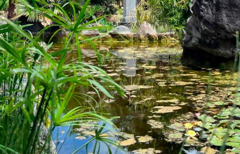 El Jardín Botánico del Descubrimiento se consolida como lugar de visita turística