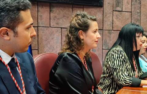 El grupo insular del PSOE achaca el sobrecoste de las desaladoras a la improvisación en su tramitación
