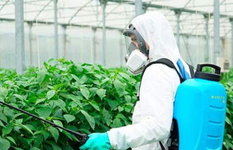 Atratican denuncia la expansión de plagas por la retirada de productos fitosanitarios