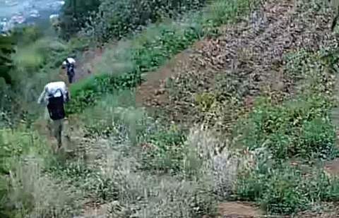 Seis personas investigadas por sustraer 800 kg de papas negras de varias fincas agrícolas de La Esperanza