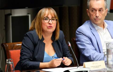 La Gomera respalda la nueva Ley de Accesibilidad y pide financiación y coordinación para garantizar su aplicación real