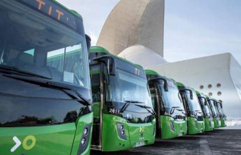 El Congreso aprueba la gratuidad del transporte público en Canarias y Baleares para 2026