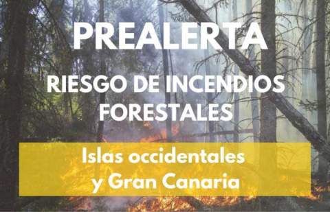 El Gobierno declara la prealerta por riesgo de incendios forestales en Gran Canaria e islas occidentales