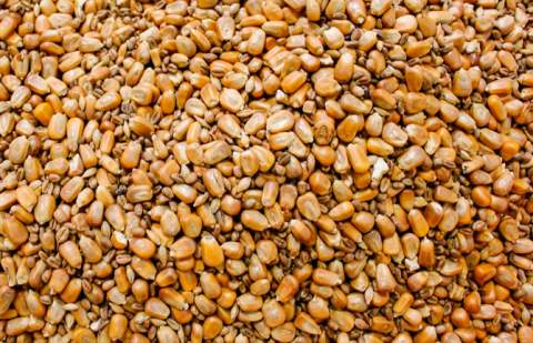 Organizaciones de agricultores piden a la UE proteger la diversidad de semillas y variedades cultivadas