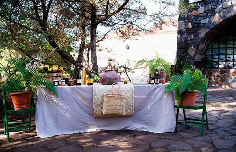 Diez empresas locales avanzan en su incorporación a la Carta Europea de Turismo Sostenible en Vallehermoso