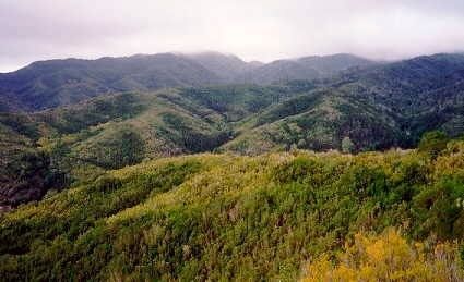 Parque Nacional de Garajonay