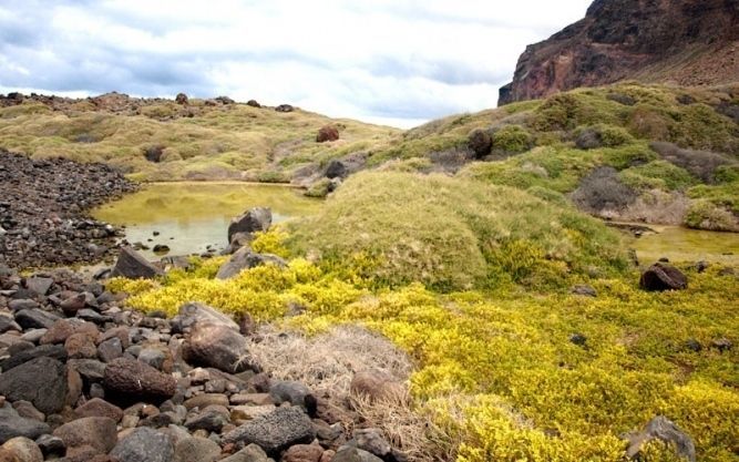 Sitio de Interés Científico del Charco del Cieno 